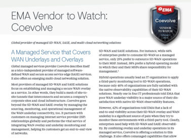2024 EMA Vendors to Watch: Network Infrastructure and Operations